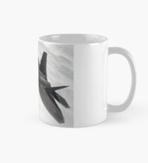 F-22 Raptor Mug