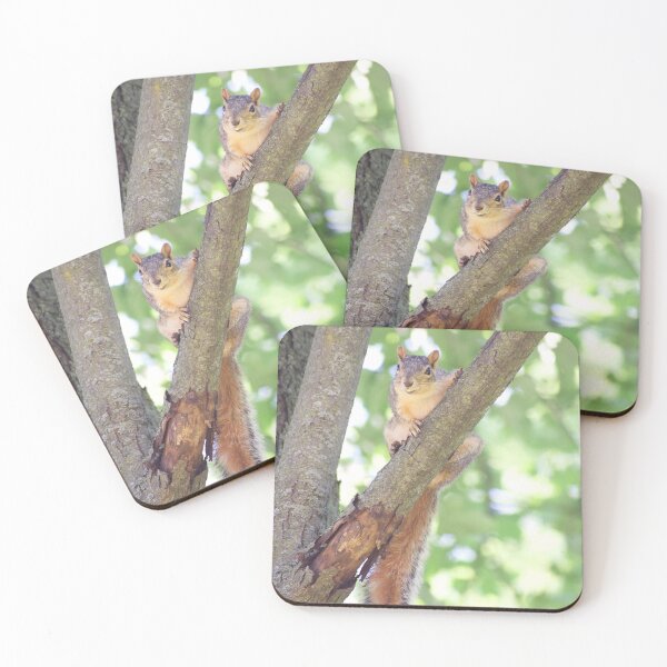 Item preview, Hey there! Squirrel in a tree designed and sold by Risedelrey.