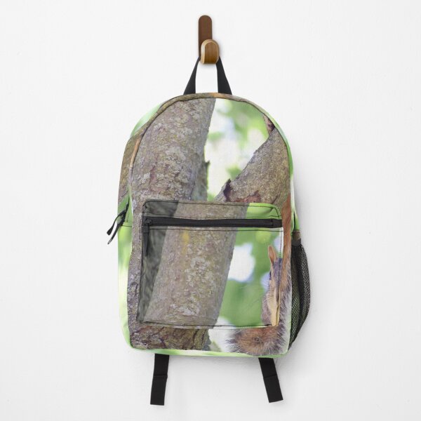 Item preview, Hey there! Squirrel in a tree designed and sold by Risedelrey.