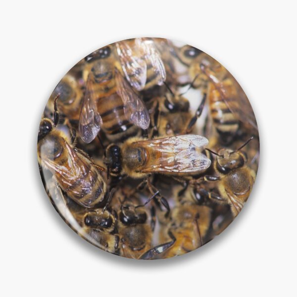 Item preview, Honeybees designed and sold by HavelinMaking.