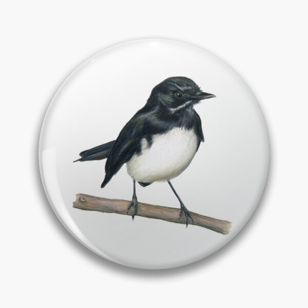 Item preview, Willie Wagtail Bird Art Coloured backgrounds designed and sold by RachaelCurryArt.