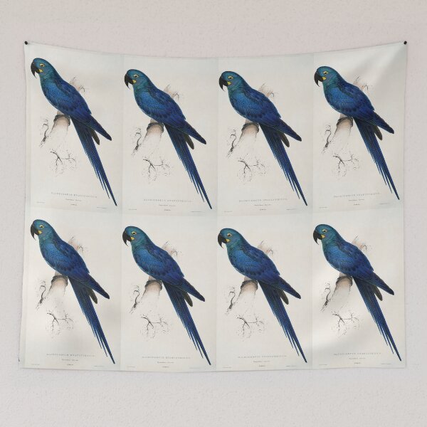 Item preview, Lear’s Macaw by Edward Lear designed and sold by Amanda1775.