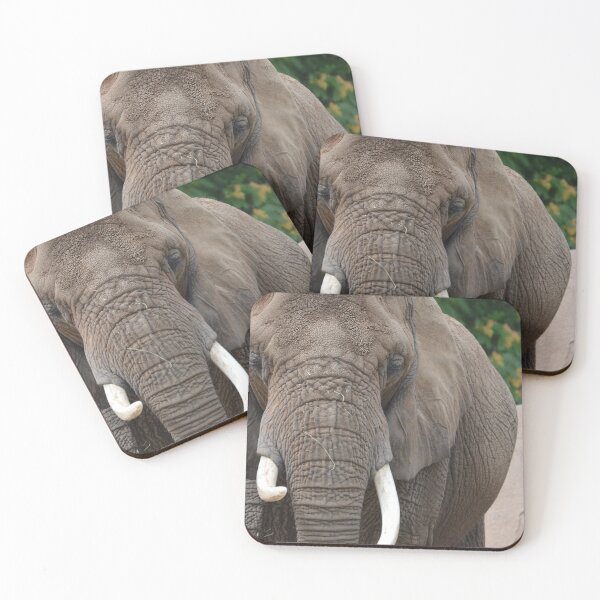 Item preview, Hey There, Mr. Elephant designed and sold by SnapsbySnoble.