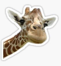 Giraffe Sticker