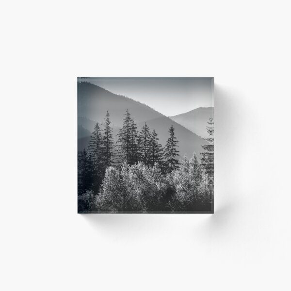 Item preview, Bosque Blanco y Negro designed and sold by Mind2Line.