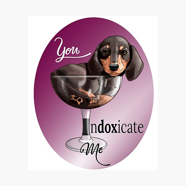 Indoxicated Dachshund Wine Glasses