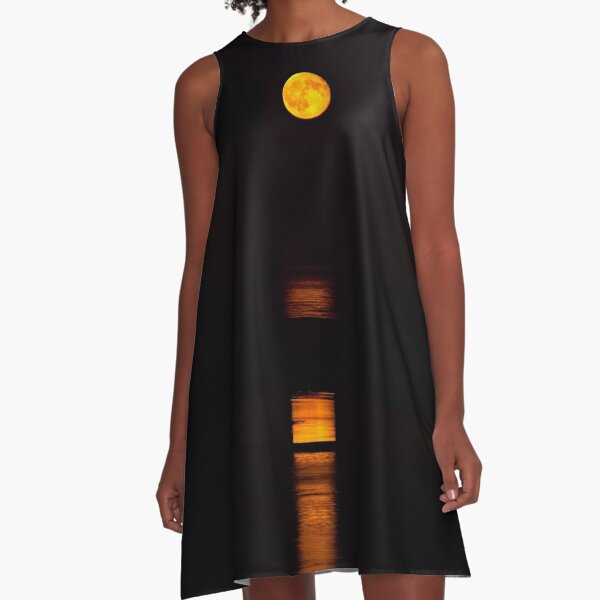 Moonrise over Cape Cod A-Line Dress