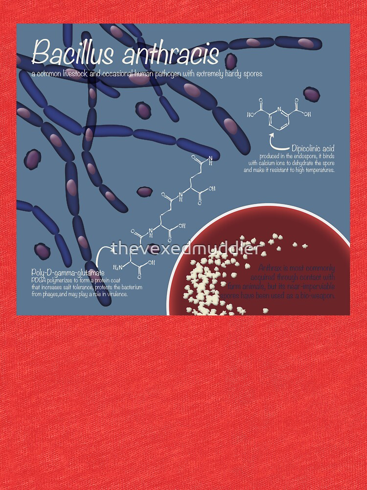 Bacillus anthracis by thevexedmuddler
