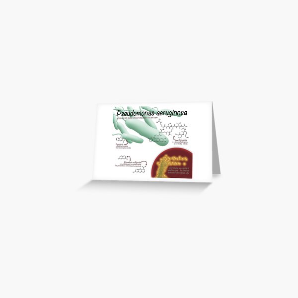 Pseudomonas aeruginosa Greeting Card