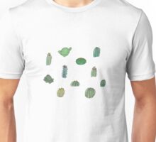 cacti merch drop