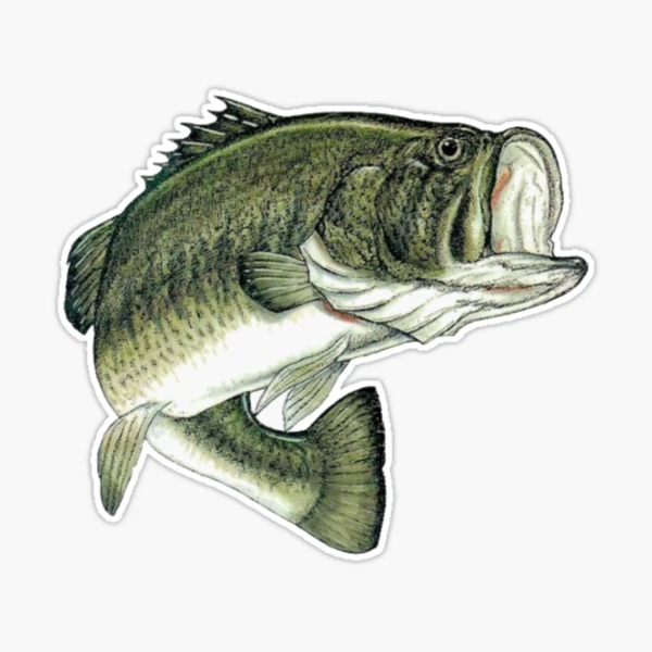 Largemouth Bass | Sticker