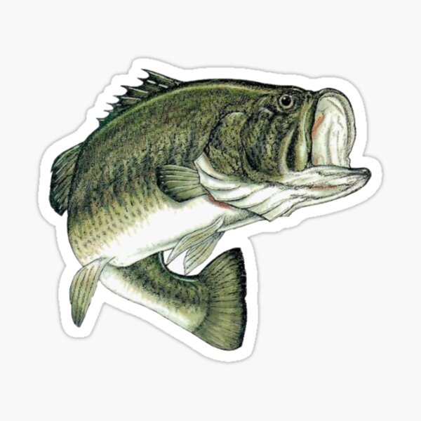 Largemouth Bass Stickers for Sale, Free US Shipping