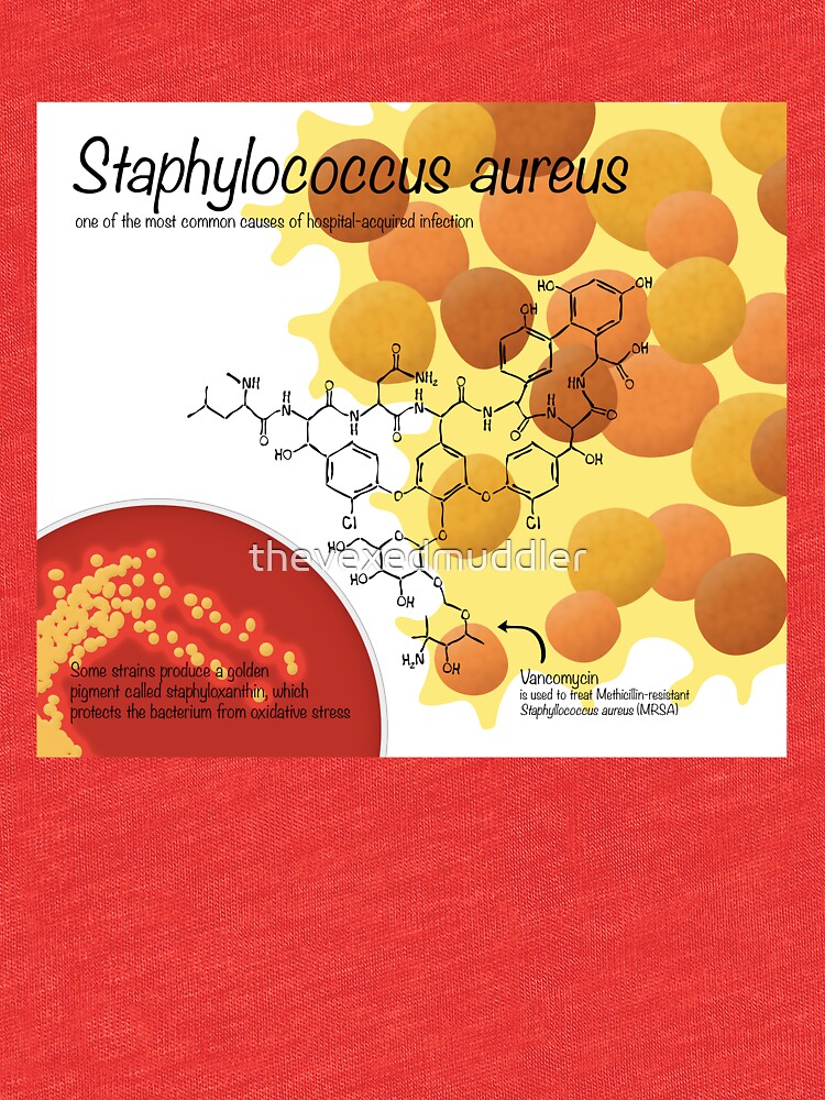 Staphylococcus aureus by thevexedmuddler