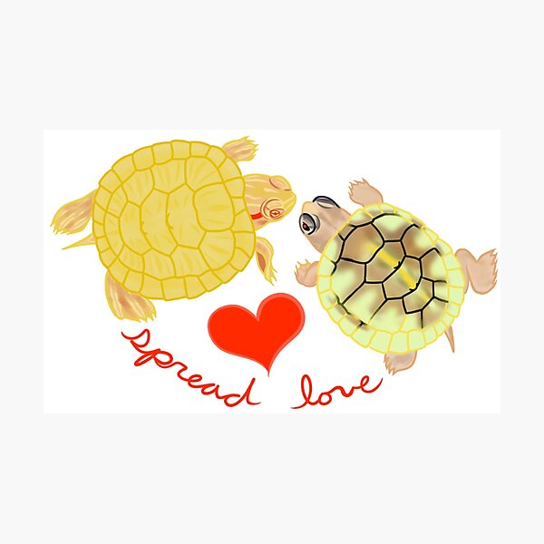 Spread love & turtles Photographic Print