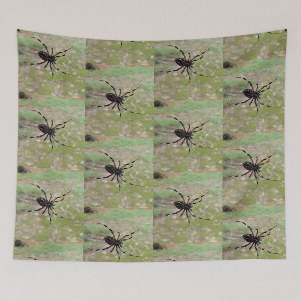 Item preview, Orb weaver spider in a web underside designed and sold by VondasCreations.
