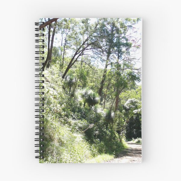 Item preview, Spicers Gap road, Queensland, Australia (2) designed and sold by Margaret  Hyde.