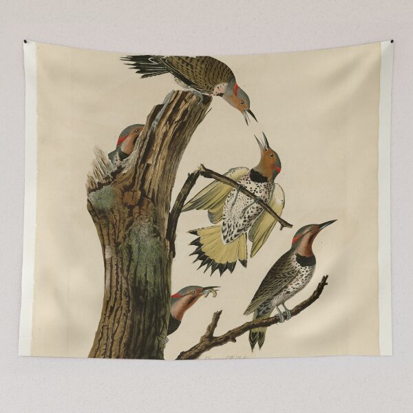 Item preview, 37 Golden winged Woodpecker designed and sold by Bird-Lore.