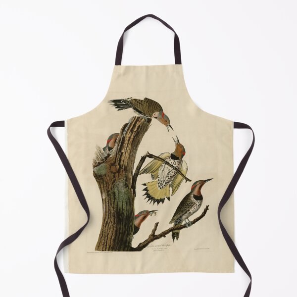 Item preview, 37 Golden winged Woodpecker designed and sold by Bird-Lore.