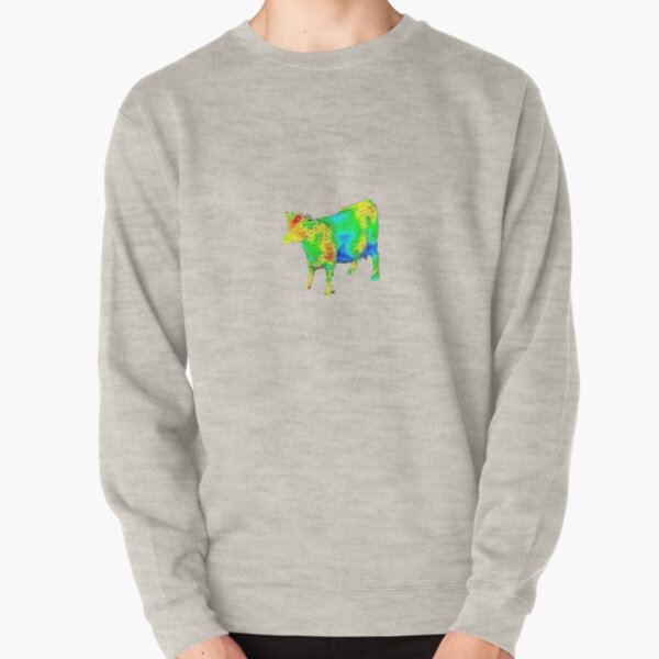 aerodynamics of a cow Pullover Sweatshirt