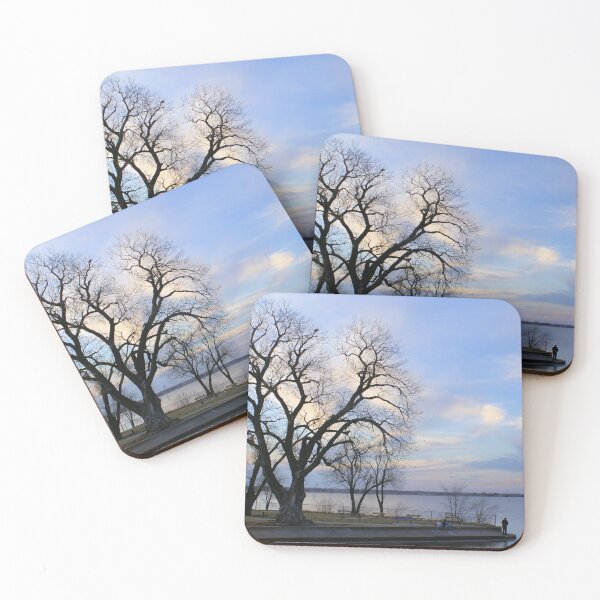 Item preview, Winter Sky designed and sold by JohnDSmith.