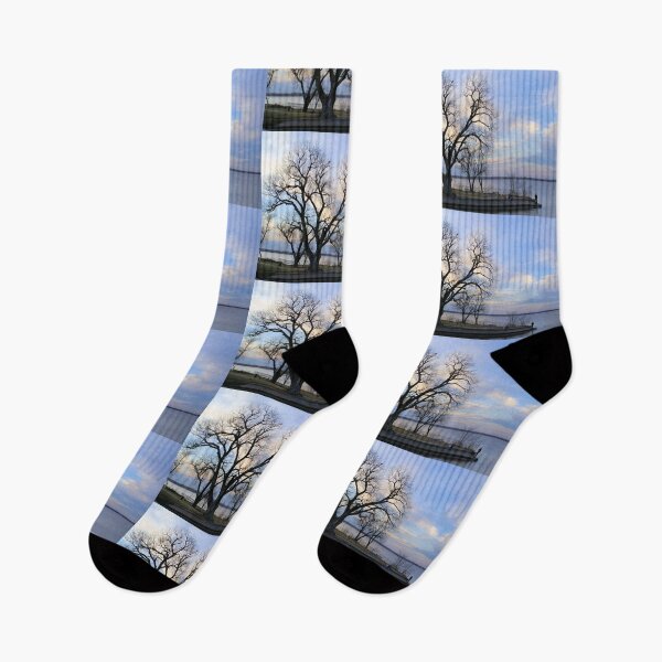 Item preview, Winter Sky designed and sold by JohnDSmith.