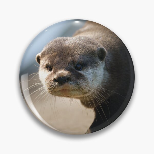 Item preview, Otterly Close designed and sold by rawshutterbug.