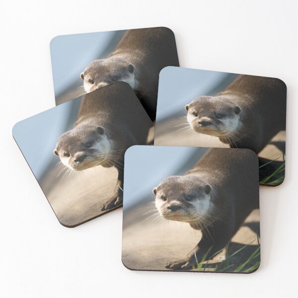 Item preview, Otterly Close designed and sold by rawshutterbug.