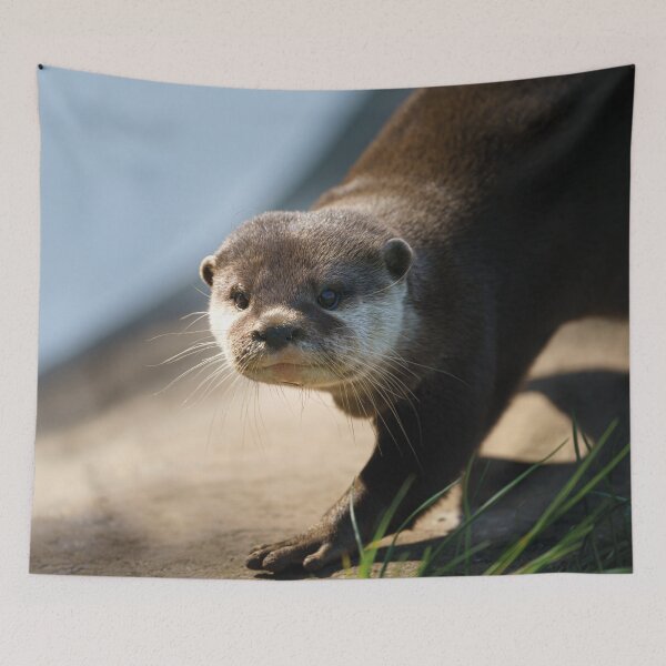 Item preview, Otterly Close designed and sold by rawshutterbug.