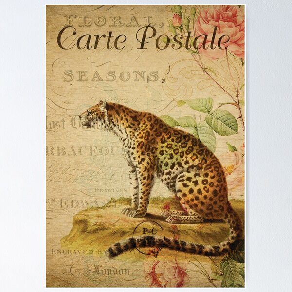 Item preview, Floral Leopard Vintage French Postcard Carte Postale designed and sold by DeeElle.