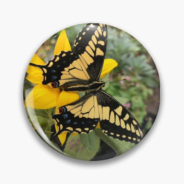 Item preview, Swallowtail Butterfly on Sunflower designed and sold by ColibriDesigns.