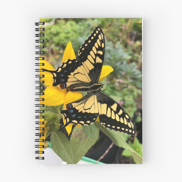Item preview, Swallowtail Butterfly on Sunflower designed and sold by ColibriDesigns.