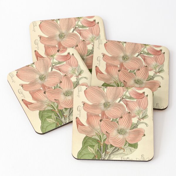 Item preview, Cornus florida rubra 136 8315 designed and sold by EsotericBotanic.