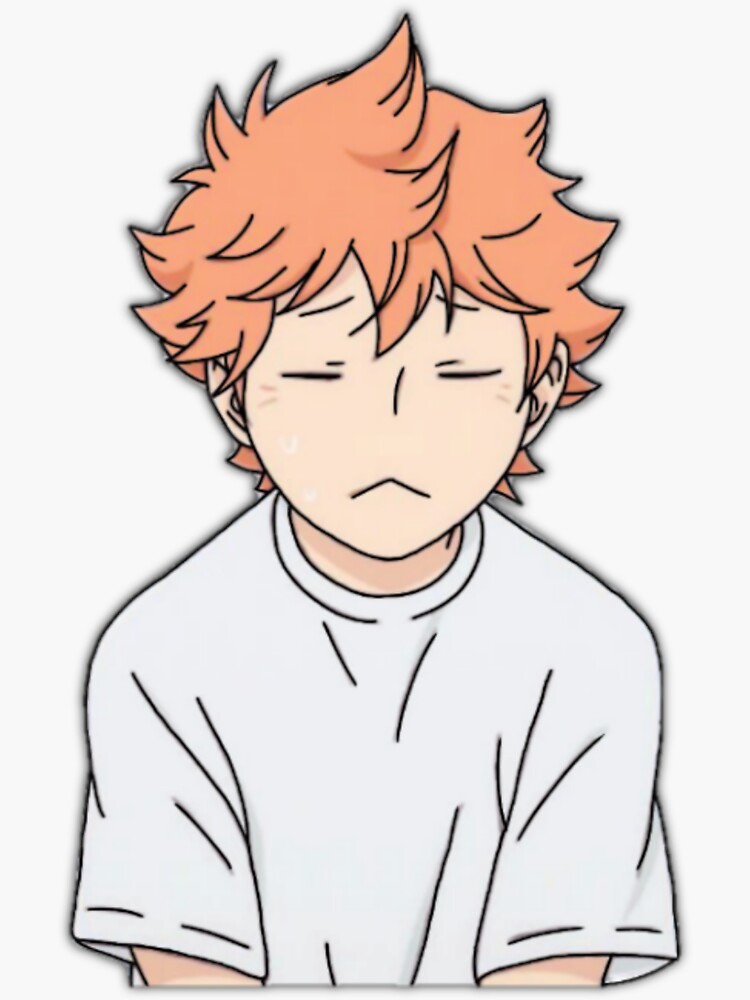 Shoyo Hinata Sticker Von Ayyeitzshorty Redbubble 2915