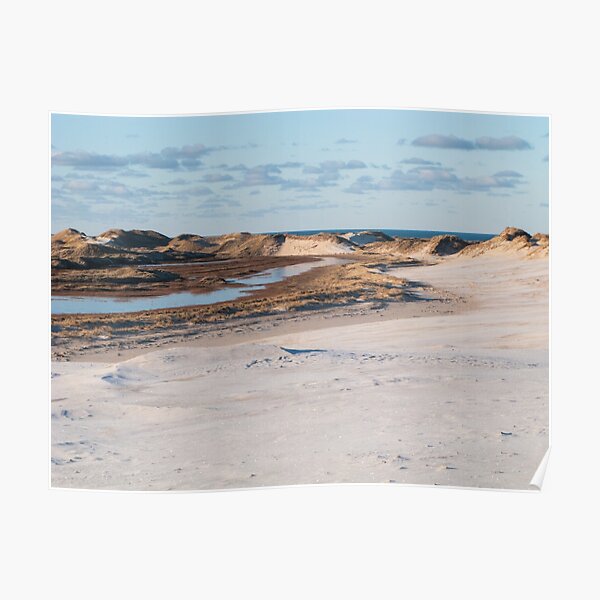 Dune changing the entire landscape Poster