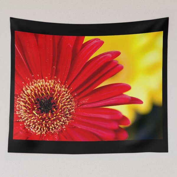 Item preview, Shining Star designed and sold by absolutemagik.