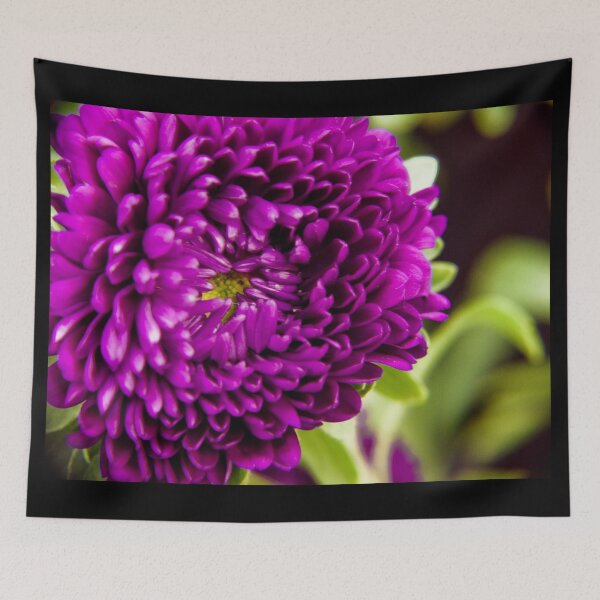 Item preview, Shy designed and sold by absolutemagik.