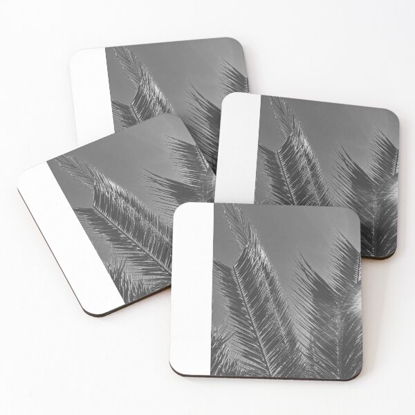 Item preview, Sunlight slots through pygmy palms designed and sold by Mathew James.