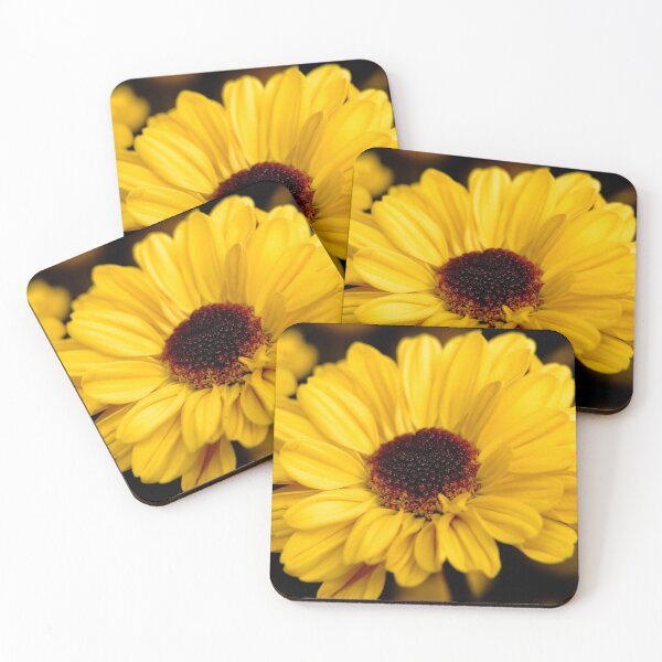 Item preview, Sun Worshiper designed and sold by absolutemagik.
