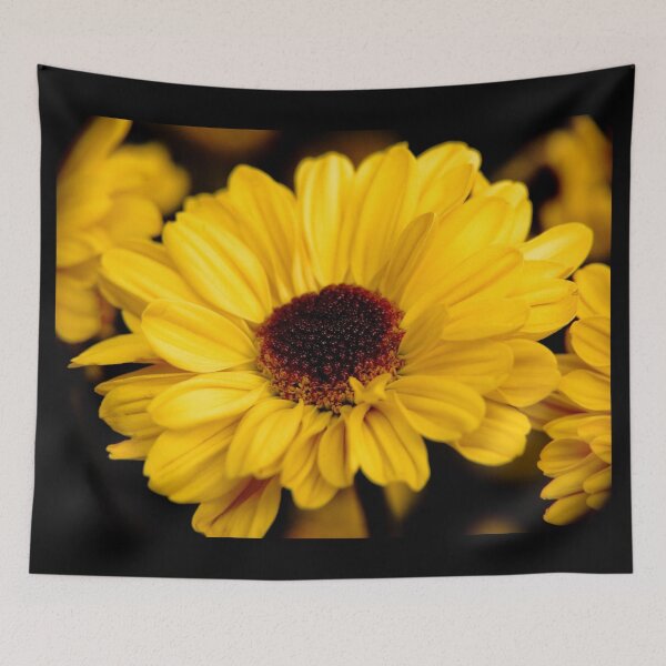 Item preview, Sun Worshiper designed and sold by absolutemagik.