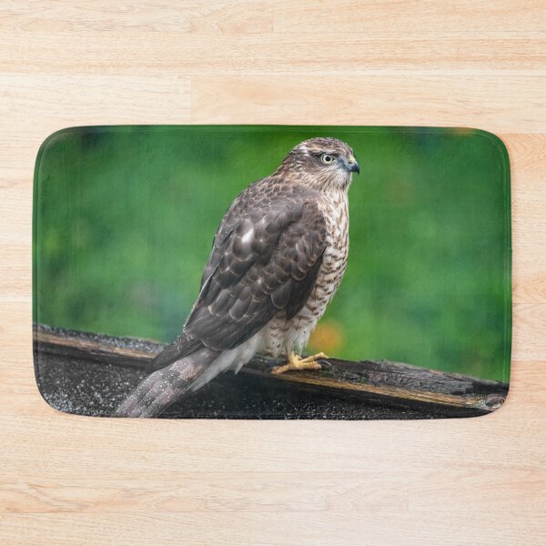 Item preview, Sparrowhawk designed and sold by AJEvans.