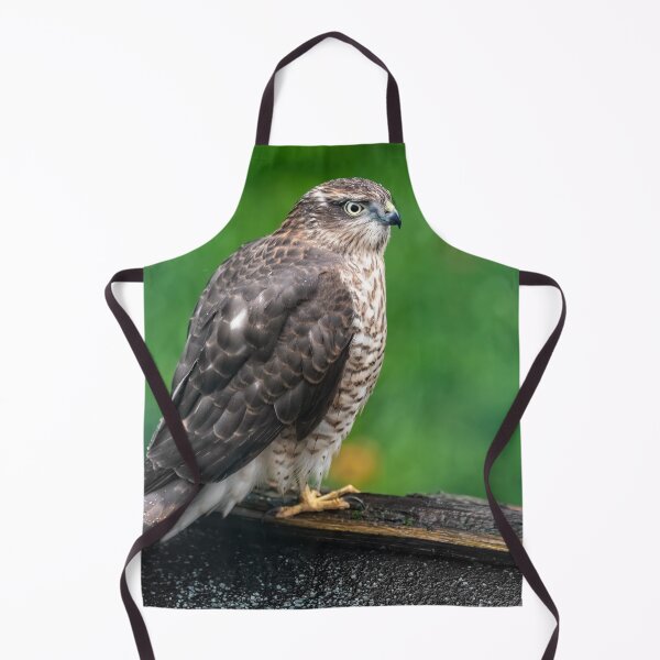 Item preview, Sparrowhawk designed and sold by AJEvans.