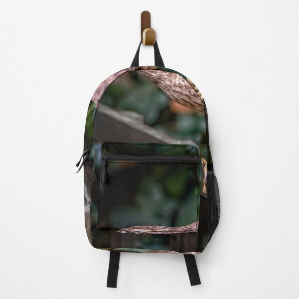 Item preview, Sparrowhawk UK designed and sold by AJEvans.