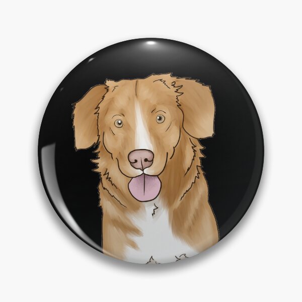 Artikelvorschau, Nova Scotia Duck Tolling Retriever 3/5 entworfen und verkauft von FunTorture.