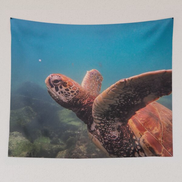 Item preview, Sea Turtle Underwater  designed and sold by Laura Vancleave.