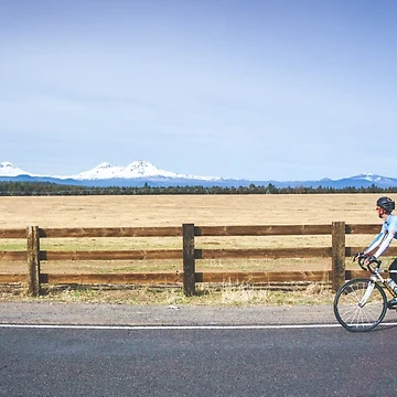 Artwork thumbnail, Distracted Ride by Brent Olson
