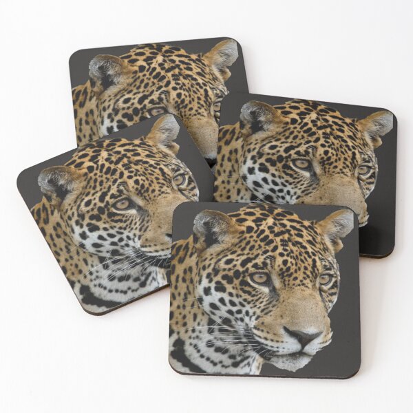 Item preview, Tiger - Save Nature -- Tigre - Salva la Naturaleza designed and sold by josesita.