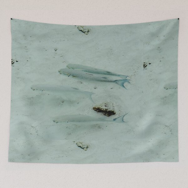 Artikelvorschau, Blaufisch entworfen und verkauft von kestellimagery.
