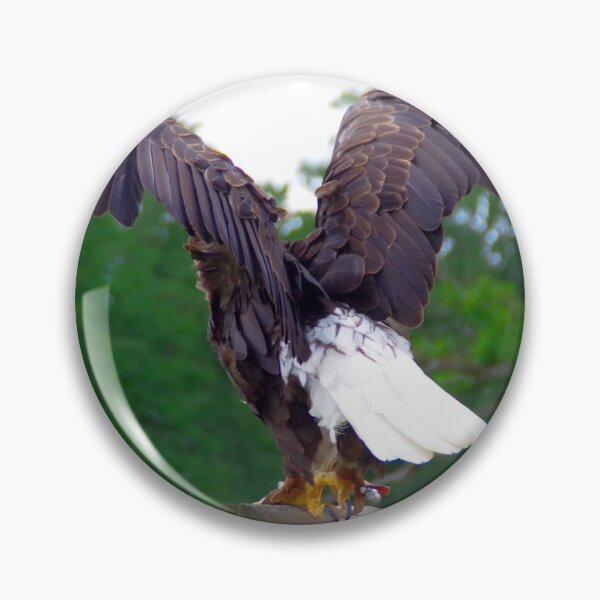 Item preview, Bald eagle designed and sold by Treemonk.