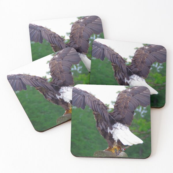 Item preview, Bald eagle designed and sold by Treemonk.