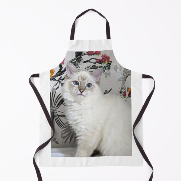 Item preview, Saoirse ragdoll designed and sold by Fluffycat2020.